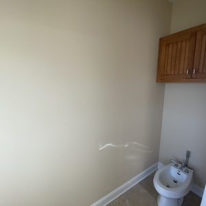 Owners Suite Bath | Barlow Lane  Lascassas TN