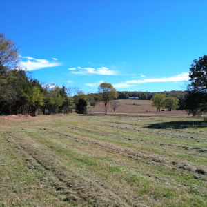 1790 Ben Green Rd  Lebanon TN | 1790 Ben Green Rd  Lebanon TN