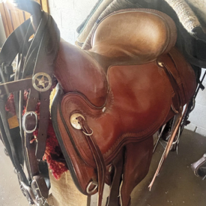 Saddle