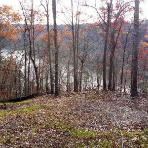 Center Hill Lake Tract 1 | Center Hill Lake Tract 1