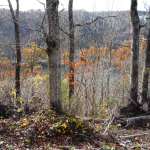 Center Hill Lake Tract 1 | Center Hill Lake Tract 1