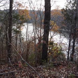 Center Hill Lake Tract 2 | Center Hill Lake Tract 2