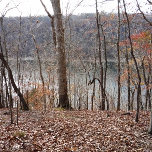 Center Hill Lake Tract 3 | Center Hill Lake Tract 3