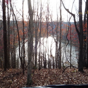 Center Hill Lake Tract 4 | Center Hill Lake Tract 4