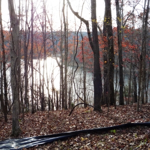 Center Hill Lake Tract 4 | Center Hill Lake Tract 4