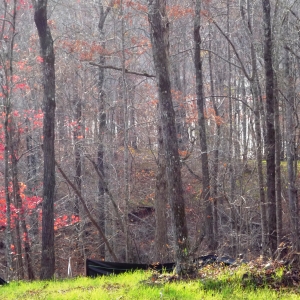 Center Hill Lake Tract 6 | Center Hill Lake Tract 6
