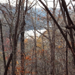 Center Hill Lake Tract 7 | Center Hill Lake Tract 7