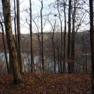 Center Hill Lake Tract 8 | Center Hill Lake Tract 8