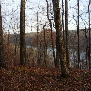 Center Hill Lake Tract 8 | Center Hill Lake Tract 8