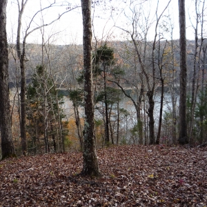 Center Hill Lake Tract 9 | Center Hill Lake Tract 9