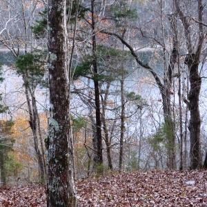 Center Hill Lake Tract 9 | Center Hill Lake Tract 9