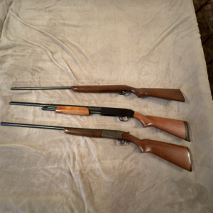 Rifles | Remington  Colt  Mossberg