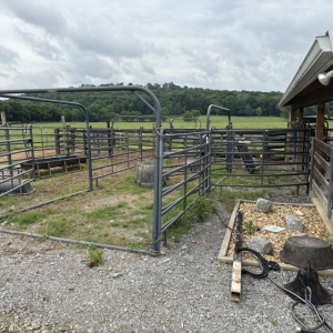 3100 SE Tater Peeler Rd  Lebanon TN | 3100 SE Tater Peeler Rd  Lebanon TN
