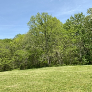 174 Old Milton Hill Rd  Auburntown TN | 174 Old Milton Hill Rd  Auburntown TN
