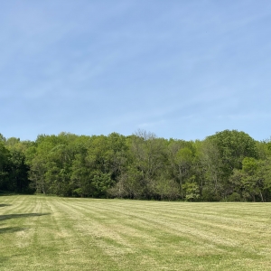 174 Old Milton Hill Rd  Auburntown TN | 174 Old Milton Hill Rd  Auburntown TN