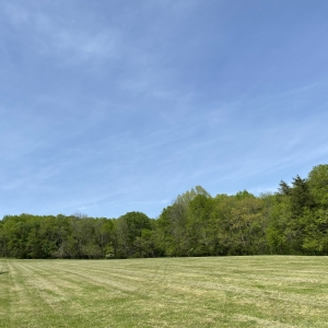 174 Old Milton Hill Rd  Auburntown TN | 174 Old Milton Hill Rd  Auburntown TN
