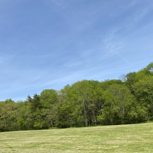 174 Old Milton Hill Rd  Auburntown TN | 174 Old Milton Hill Rd  Auburntown TN