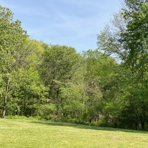 174 Old Milton Hill Rd  Auburntown TN | 174 Old Milton Hill Rd  Auburntown TN