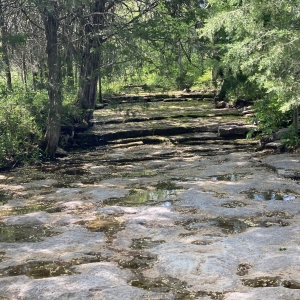 174 Old Milton Hill Rd  Auburntown TN | 174 Old Milton Hill Rd  Auburntown TN