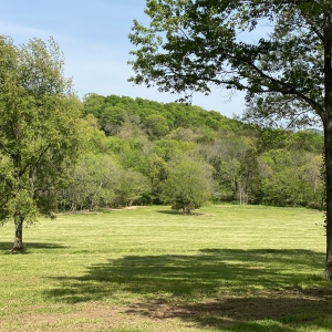 174 Old Milton Hill Rd  Auburntown TN | 174 Old Milton Hill Rd  Auburntown TN