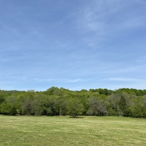 174 Old Milton Hill Rd  Auburntown TN | 174 Old Milton Hill Rd  Auburntown TN