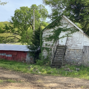 174 Old Milton Hill Rd  Auburntown TN | 174 Old Milton Hill Rd  Auburntown TN