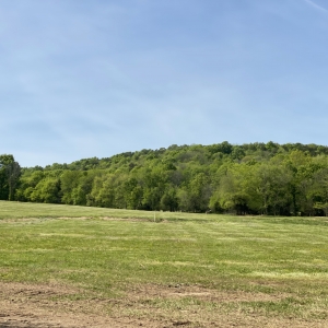 174 Old Milton Hill Rd  Auburntown TN | 174 Old Milton Hill Rd  Auburntown TN