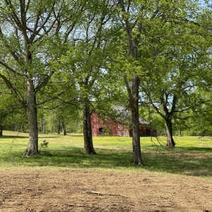 174 Old Milton Hill Rd  Auburntown TN | 174 Old Milton Hill Rd  Auburntown TN