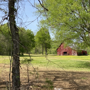 174 Old Milton Hill Rd  Auburntown TN | 174 Old Milton Hill Rd  Auburntown TN