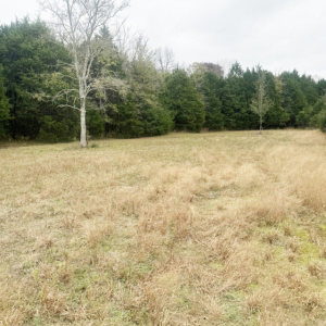 Fellowship Rd  Mt Juliet TN | Fellowship Rd  Mt Juliet TN