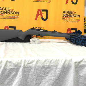 Remington | Model 597 .22 Rifle
