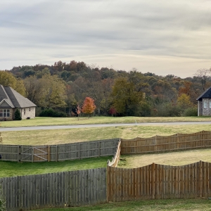 Back Yard View
