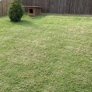 Fenced Back Yard