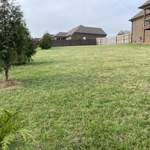 Large Back Yard