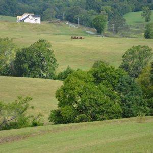 85 Beautiful Rolling Acres Selling in 16 Tracts | Beautiful Building Sites  2.65 acres to 14.53 Acres EaUtility Water, Soils Tested, Septic Approved, Internet Available