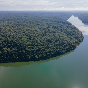 159 Acres at Center Hill Lake | 159 Acres at Center Hill LakeSelling in 9 Tracts