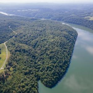 159 Acres at Center Hill Lake | 159 Acres at Center Hill LakeSelling in 9 Tracts