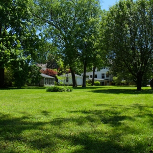 Large Back Yard | Large In Town lot with Mature Trees and fenced yard