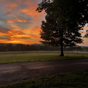 Linwood Rd | 2080 Linwood Rd  Watertown TN