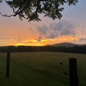 Linwood Rd | 2080 Linwood Rd  Watertown TN