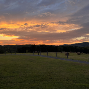 Linwood Rd | 2080 Linwood Rd  Watertown TN