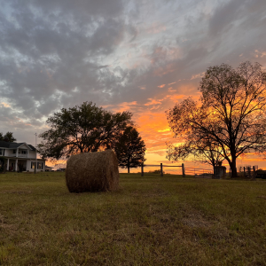 Linwood Rd | 2080 Linwood Rd  Watertown TN
