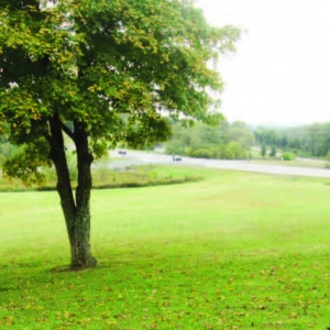 Martha Leeville Rd | Home sits on 3.76 acres