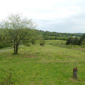 161 Opossum Hollow Rd Absolute Auction | 5+ acres in Watertown TN