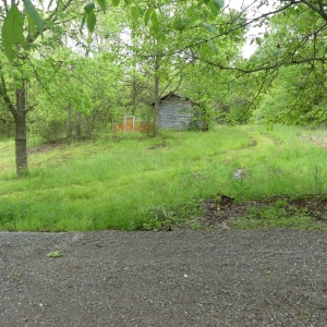 161 Opossum Hollow Rd Absolute Auction | 5+ acres in Watertown TN