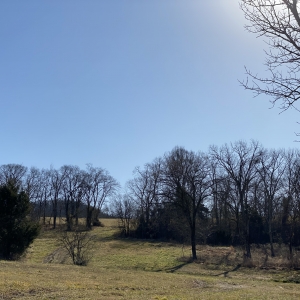 Opossum Hollow  Watertown TN | Hilltop Views