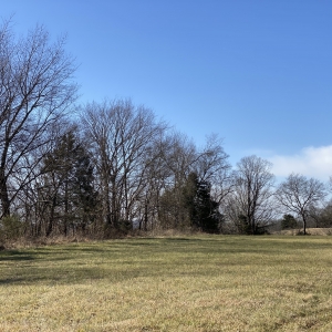 Opossum Hollow  Watertown TN | Hilltop Views