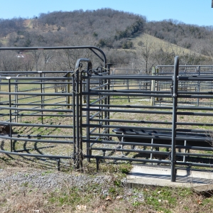Cattle Equipment