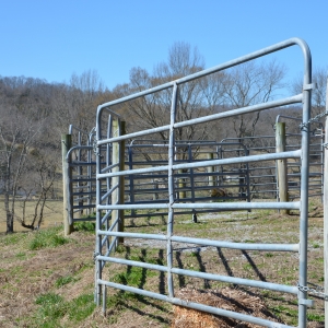 Cattle Equipment