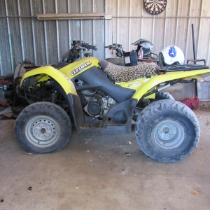 Ozark 4 Wheeler | Ozark 250 4 Wheeler